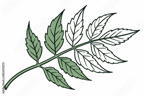 Single Green Leaf Minimal Vector Illustration  Pur Vector Illustration