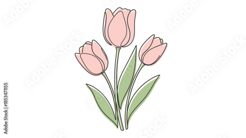 A delicate illustration of three light pink tulips with green leaves, drawn in a simple, elegant line art style.