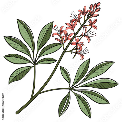 Botanical Eco Plant Illustration  Clean Vector  Pu (3) Vector Illustration