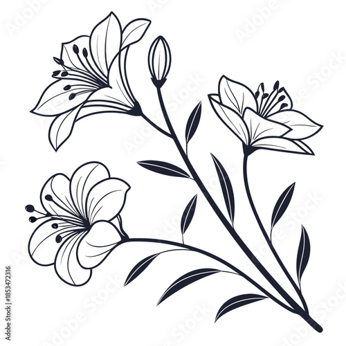 Decorative Flowering Plant  Minimal Vector  Pure W (3) Vector Illustration