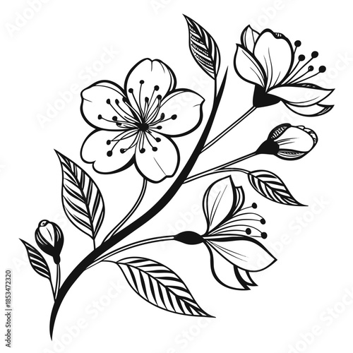 Decorative Flowering Plant  Minimal Vector  Pure W (2) Vector Illustration