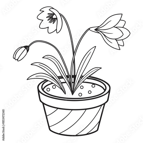 Flower Pot Minimal Illustration  Flat Vector  Pure (2) Vector Illustration