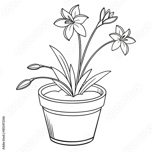 Flower Pot Minimal Illustration  Flat Vector  Pure (3) Vector Illustration