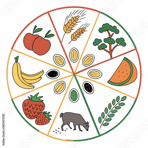 Natural Food Ecosystem Illustration  Clean Vector  Vector Illustration