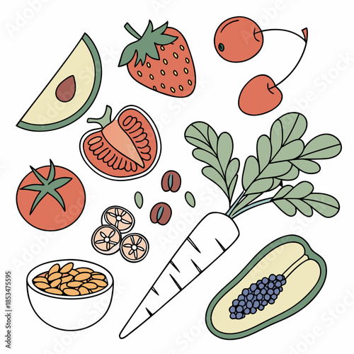 Sustainable Healthy Food Assortment  Minimal Vecto Vector Illustration