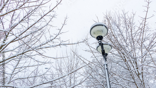 Winter Street Lamp and Snowy Tree Branches