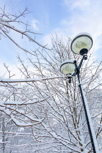 Street Lamp Among Snow Covered Trees in Winter