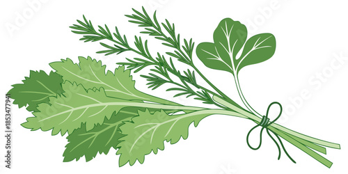 Fresh Herbs And Greens Bundle  Minimal Vector  Whi (3) Vector Illustration