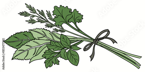 Fresh Herbs And Greens Bundle  Minimal Vector  Whi (2) Vector Illustration