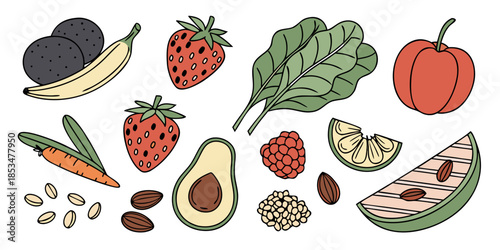 Healthy Vegan Food Ingredients  Flat Vector  White Vector Illustration