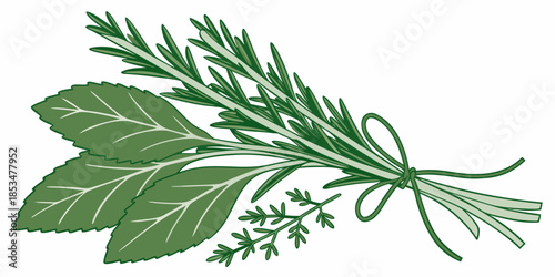 Fresh Herbs And Greens Bundle  Minimal Vector  Whi Vector Illustration