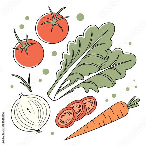 Fresh Cooking Ingredients With Soft Natural Color  Vector Illustration