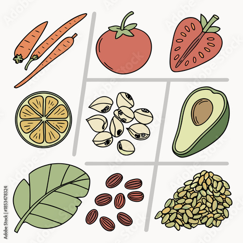 Raw Food Ingredients Organized In Grid Composition (2) Vector Illustration