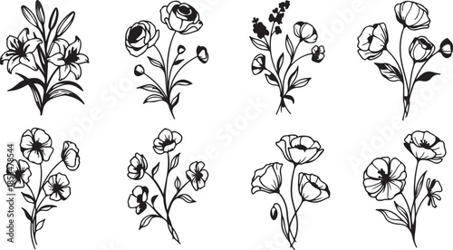 Black and White Floral Illustrations Set Isolated on White Background