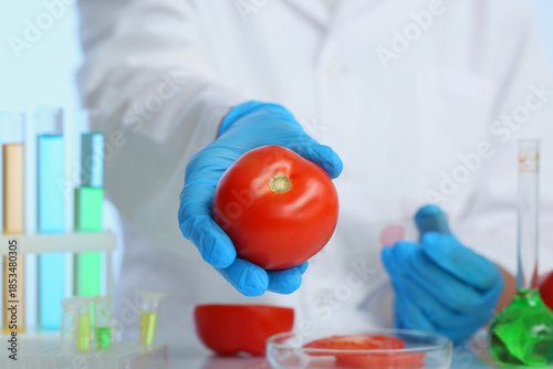Female scientist with test tubes of samples and fresh tomatoes in laboratory,...