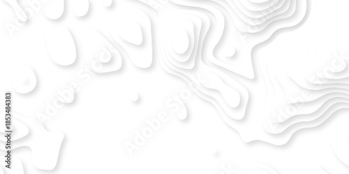 white topography map geography relief diagram texture design. Topography white background and black line world map texture design. Lines Topographic contour lines grid map seamless pattern.	