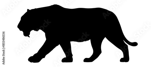 A majestic black panther silhouette walking in a serene landscape viewed from the side