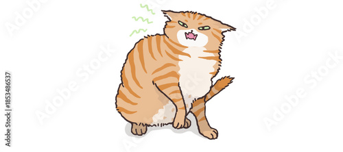 An orange tabby cat sits with a displeased expression and raised fur on a white background, viewed from the side.