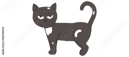 Illustration of a black cat with a white patch standing alone