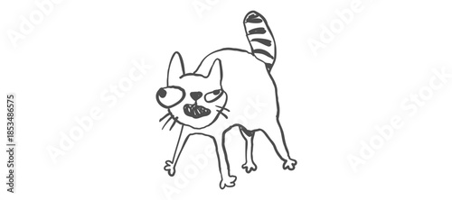 A cartoon cat with an angry expression is standing on a white background, viewed from the front.