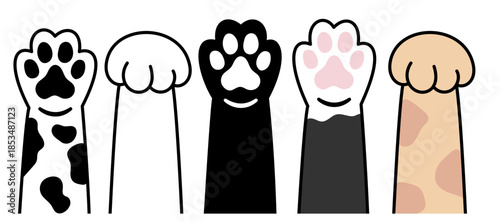 Five cute cartoon cat paws with various fur patterns and colors, including black, white, spotted, and tabby designs.
