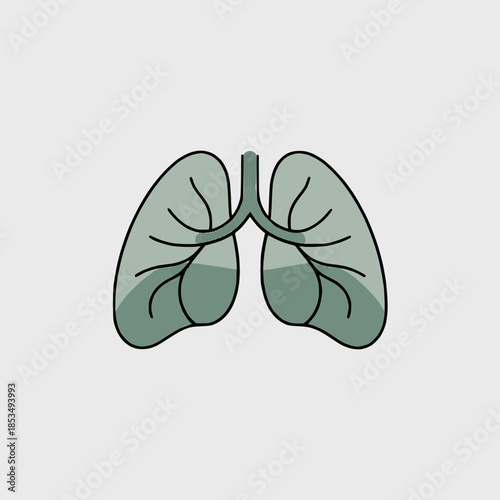 Human lungs with trachea and bronchi illustration