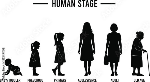 Vector illustration of female human life cycle stages from baby toddler preschool primary and adolescence to adult and old age