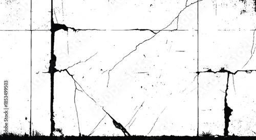 Vector black branch grunge crack isolated on white background