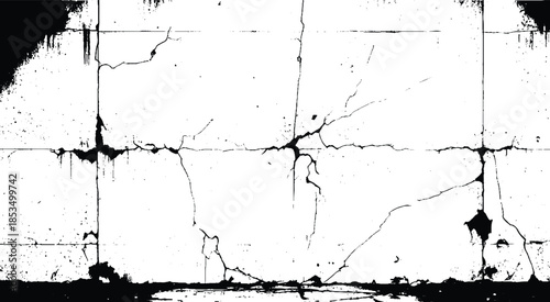 Create an abstract pattern resembling a dry, barren landscape, with prominent black cracks against a bright white background. 