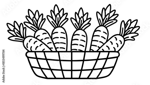 Carrot basket line art Vector