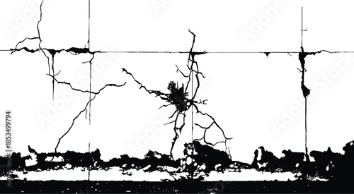 Long horizontal cracked wall. Damage surface crack and fissure in ground, concrete, crevices from disaster silhouette breaks on land surface from earthquake isolated on white background. 
