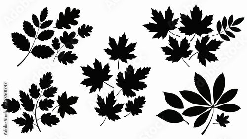 Collection of Black Silhouette Leaves and Branches on White Background.