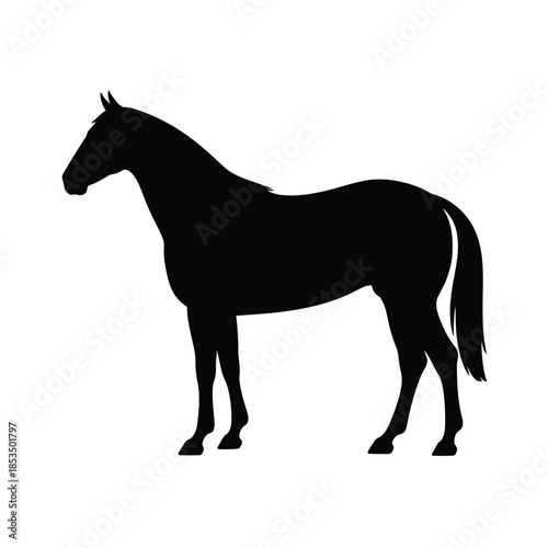 A striking silhouette of a horse standing in a simple stark design