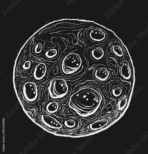 Detailed Moon Crater Texture Illustration for Space Themes