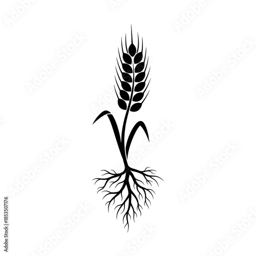 An illustrative graphic of a wheat stalk with its roots clearly visible, symbolizing agriculture and growth