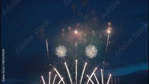 Spectacular fireworks display bursting in the night sky.