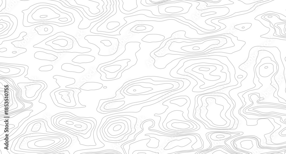 Fototapeta premium Topography background. Vector banner. Background of the topographic map. Topographic map lines, contour background. 