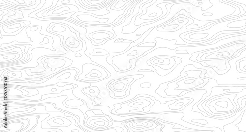 Topography background. Vector banner. Topography map background. Vector geographic contour map. 