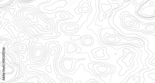 Topography background. Vector banner. Topography map background. Vector geographic contour map. 