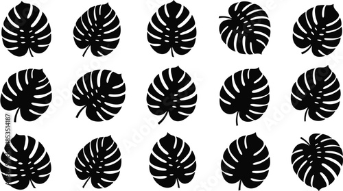 Monstera, leaf, silhouette, set, tropical, botanical, foliage, plant, nature, jungle, exotic, black, vector, illustration, isolated, collection, flat, minimal, design, icon