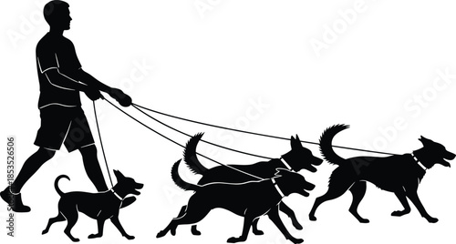 Dog walker silhouette with four active dogs on leashes, energetic motion, outdoor pet activity, black flat vector illustration for stock