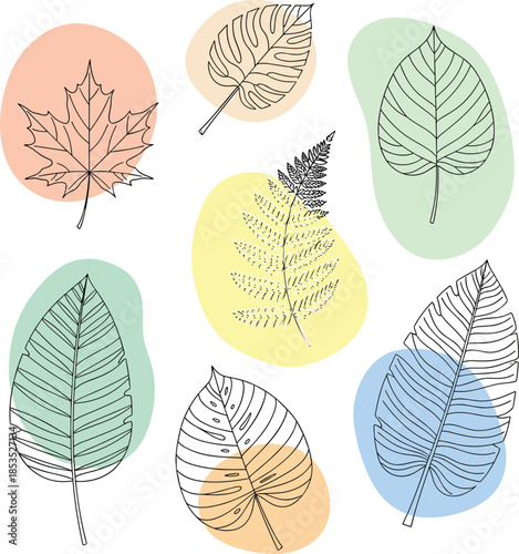 Botanical leaf collection, outline foliage design, nature elements, tropical temperate species, abstract pastel background, plant illustration flat vector