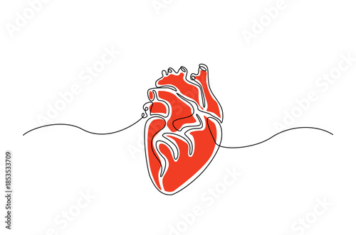 Continuous one line drawing of Human Anatomical Heart with Red Color Accent. anatomical human heart organ illustration. Editable vector.