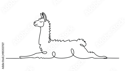 One continuous line illustration of an Llama, isolated on white background.