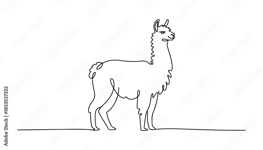 Fototapeta premium One continuous line illustration of an Llama, isolated on white background.