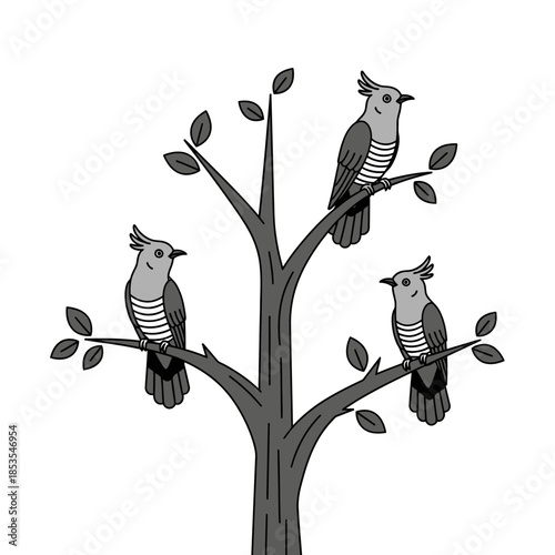 Three crested pigeons perched on a simple branch of a tree
