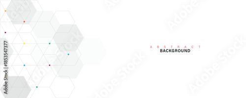 Minimal abstract hexagon background with geometric grid pattern, modern white technology design with colorful connection dots for corporate branding, presentation, website layout and business template
