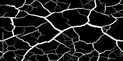 Abstract white cracked vein pattern on deep black background, organic branching texture resembling dried earth or lightning, high contrast, minimal, clean studio lighting, seamless, Adobe Stock qualit
