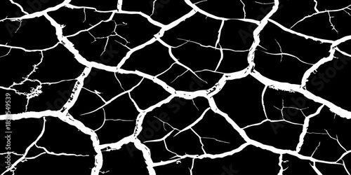 Abstract white cracked vein pattern on deep black background, organic branching texture resembling dried earth or lightning, high contrast, minimal, clean studio lighting, seamless, Adobe Stock qualit