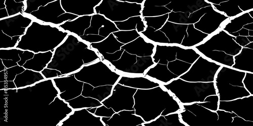 Abstract white cracked vein pattern on deep black background, organic branching texture resembling dried earth or lightning, high contrast, minimal, clean studio lighting, seamless, Adobe Stock qualit